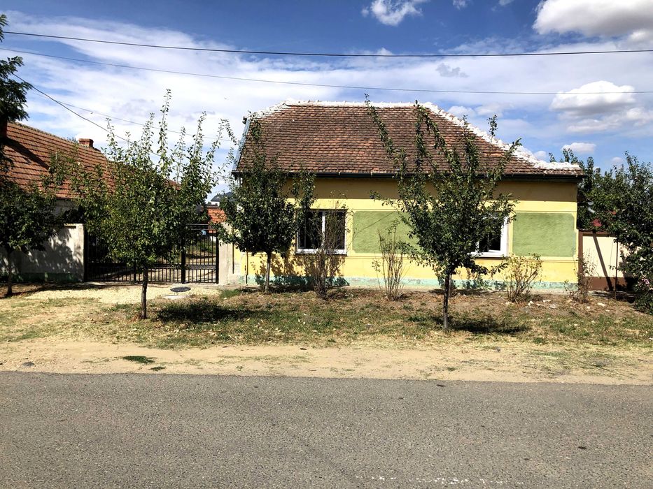 Vand casa si gradina mare in Recas, jud. Timis.