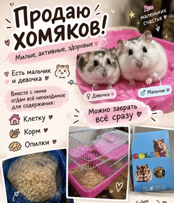 Продаётся Хомяков, Хомяк сатылады
