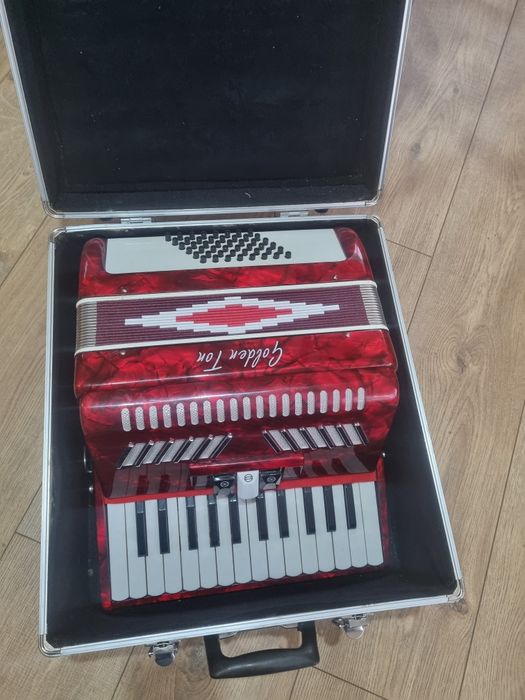 Acordeon pentru copii