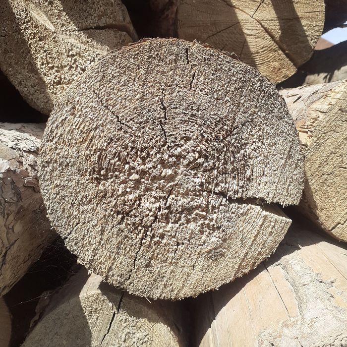 Qizil bolor sotiladi  holati alo yangi  ishlatilmagan oladigan lar tel