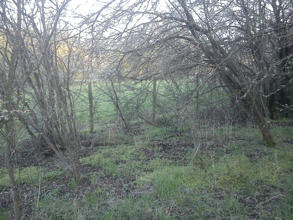 Продава се Парцел в Велико Търново, Бузлуджа - 500 кв.м за 15 €/кв.м - Снимка #8