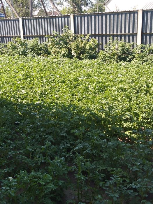 Продам двухэтажный дом