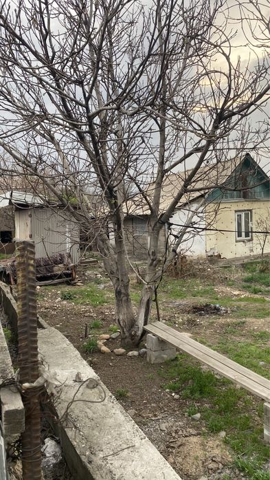 Продам дом с времянкой 12 соток