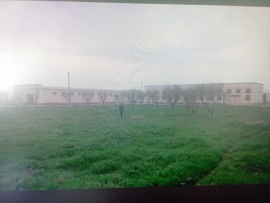 Бизнесга хамкор шерик керак