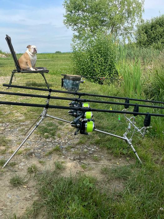 Senzori JRC DS3 Radar 3+1 Fabricati in Germania