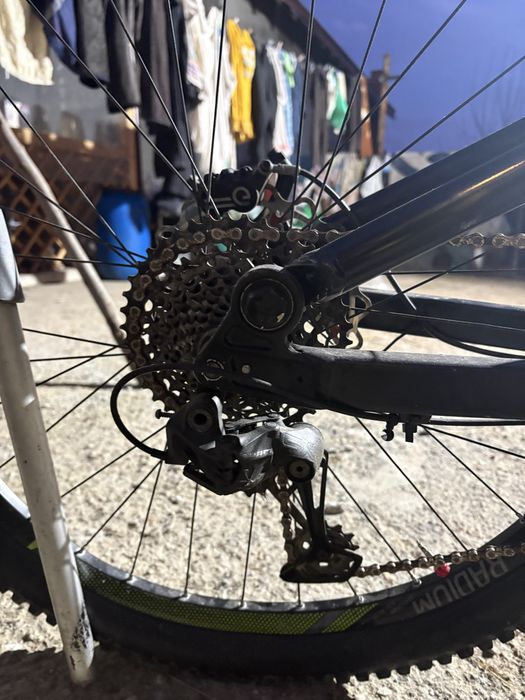 Vand bergamont big air 6.0 vopsit