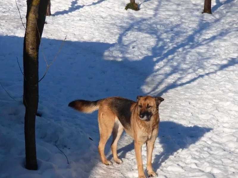 Aparat Foto Digital Panasonic Dmc Fz 72 Ultra Zoom 60x