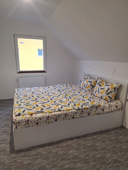 Cabana de inchiriat  . CASA MARA ocupată de revelion