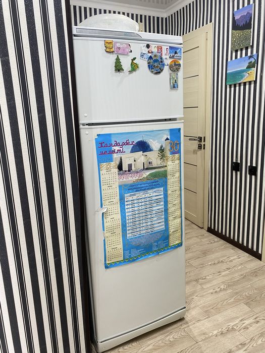 Холодильник stinol