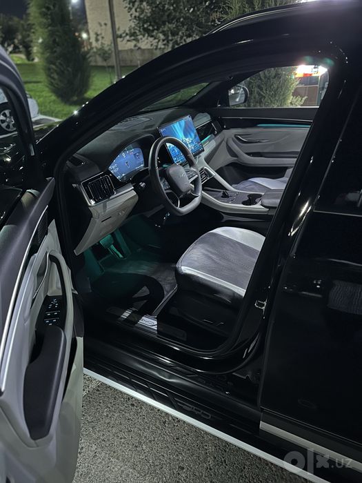 BYD chempion smart
