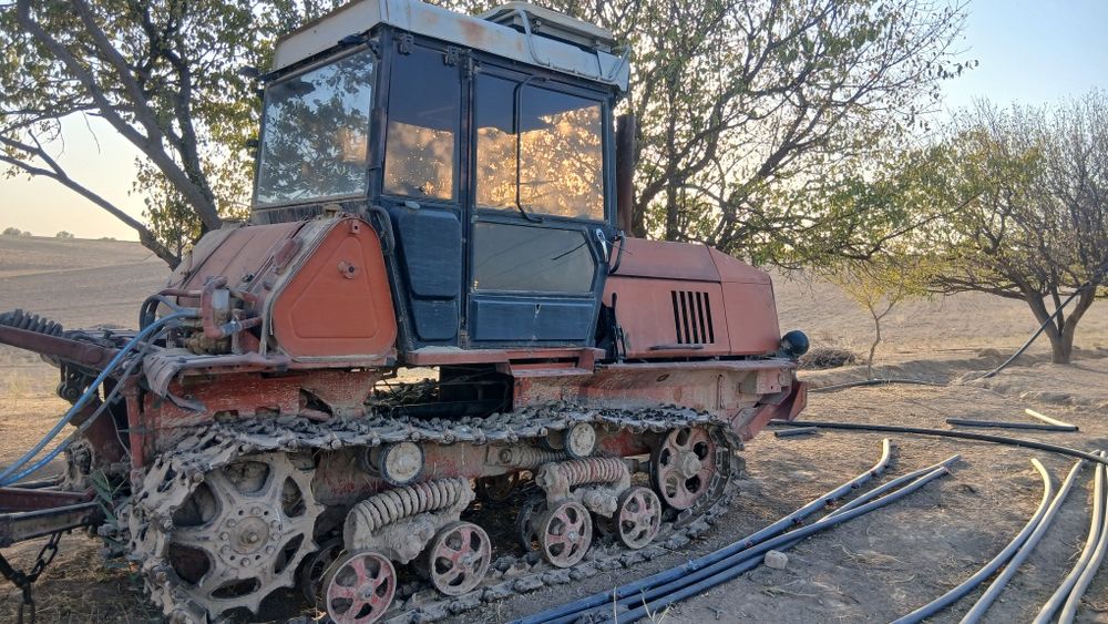 BT 150 dizel gusnitsa