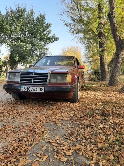 Mercedes Benz 230e
