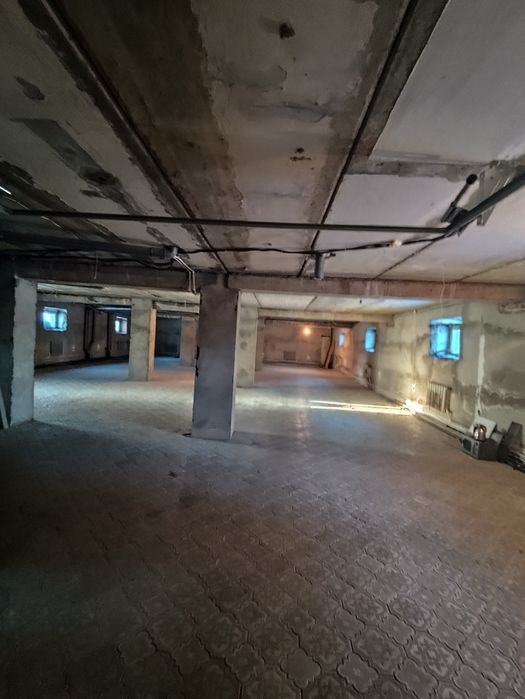 Сдам теплый подвал 300м2