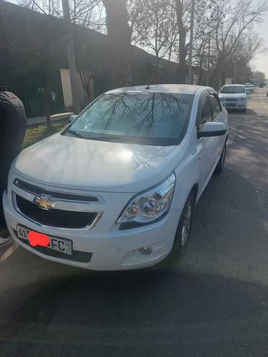 Cobolt 2023 4 pazatsiya