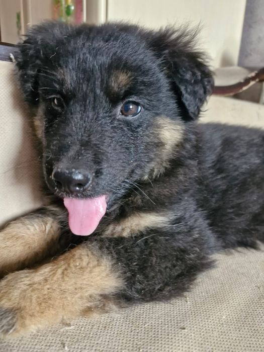 Замечательный мальчик