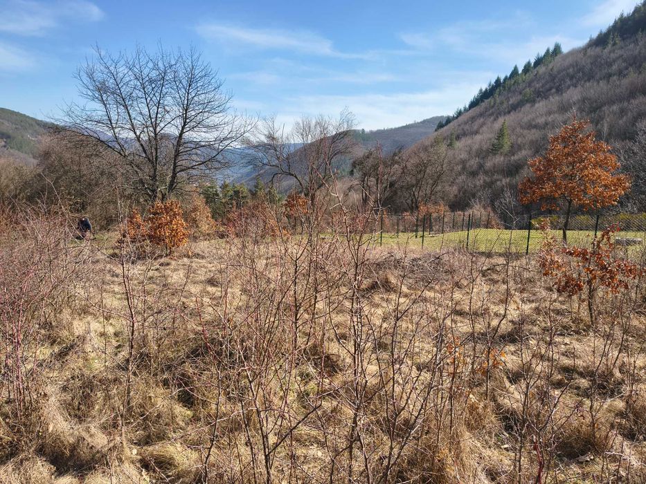 Панорамен парцел – Свидня в.з."Герова леска" ОТ СОБСТВЕНИК