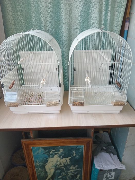 Клетки разные для птиц.