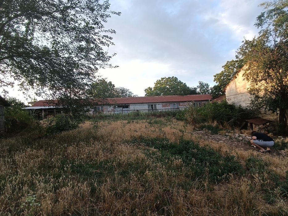 Продава се Парцел в с. Конево, Област Разград - 550 кв.м за 115 €/кв.м - Снимка #1