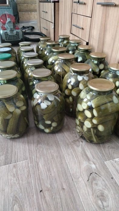 Огурцы ,компоты, консервация