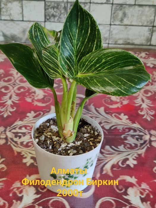 Продам Хобби для души