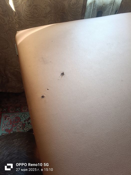 Продам кушетку чемодан