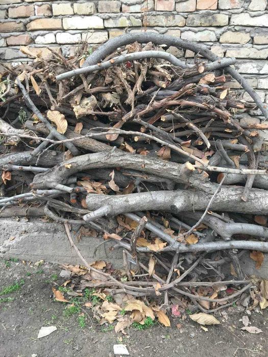 дрова из фруктовых деревьев-черешня,вишня,слива,орех  в объеме 2 куба