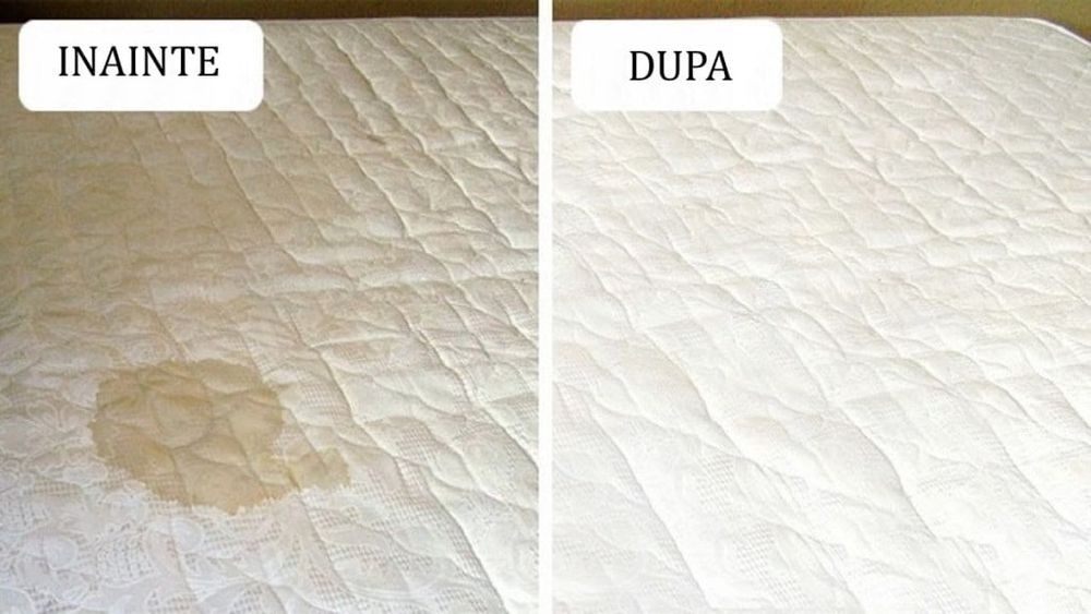 Curatare canapea / saltea / mocheta / covor. Servicii curatenie