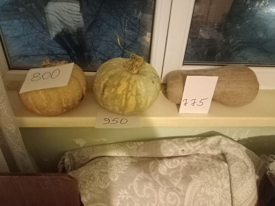 Продам едовую вкусную тыкву