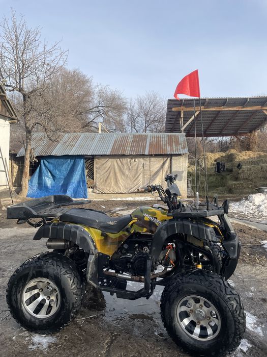 Квадрик 200куб задний привод