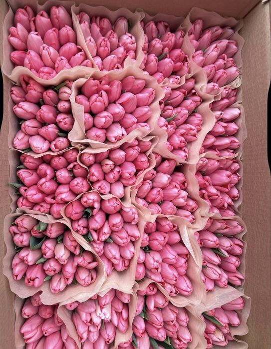 Тюльпаны оптом бесплатное хранение