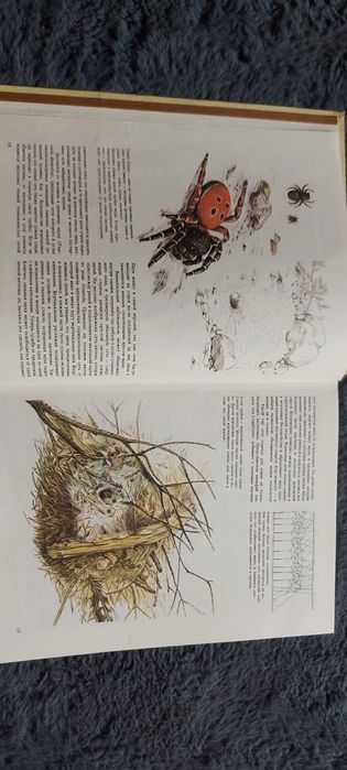 Книга 1986 г.в Животные строят