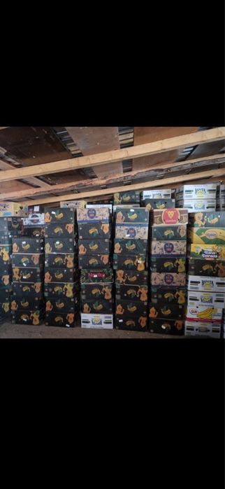 Vand baxuri noi de banane