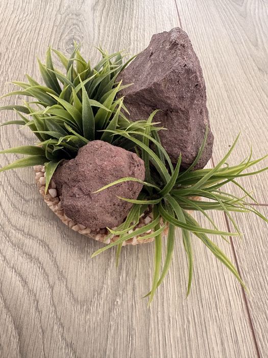 decor pentru acvariu