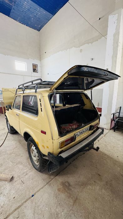 Niva Satiladi  1989-jil