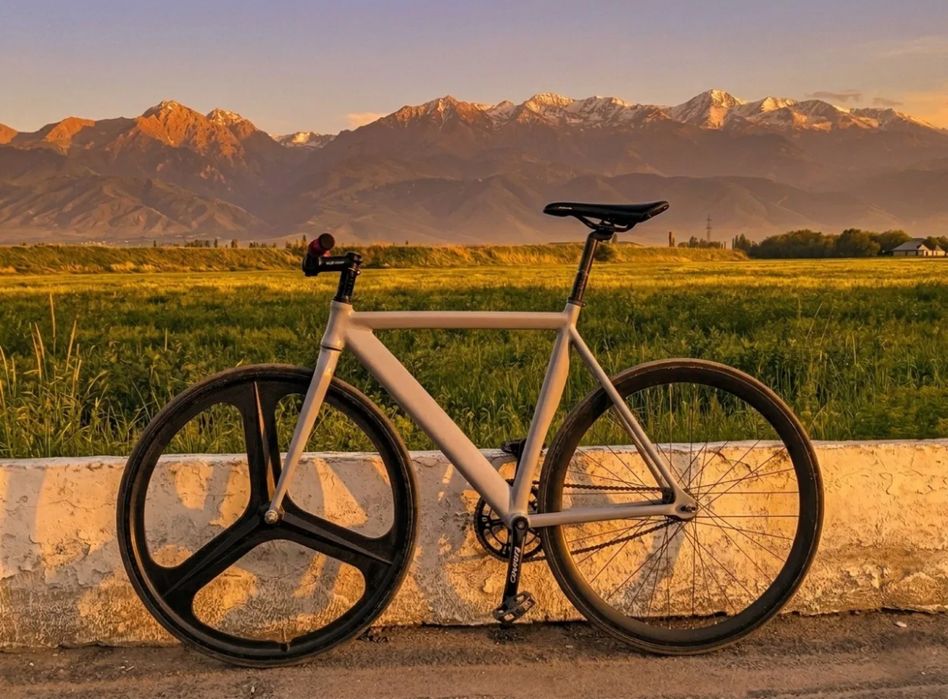 Gray F10 fixed gear