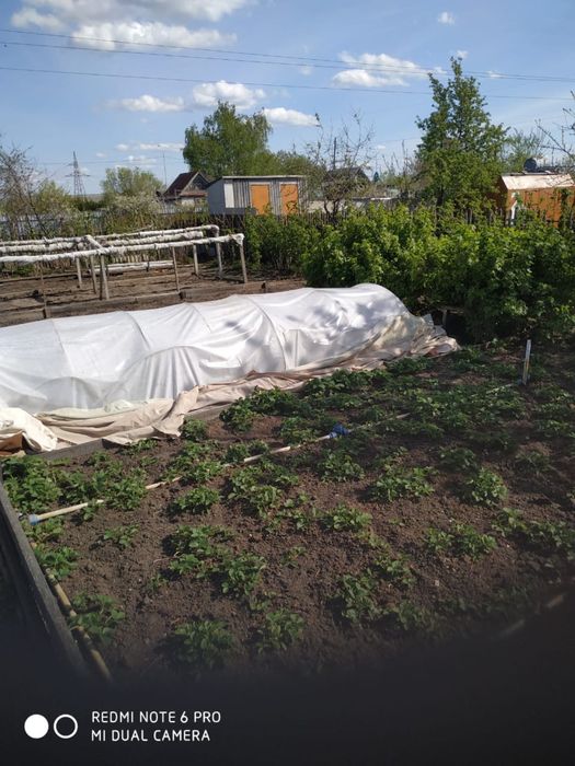 Дача (Садовод строитель)