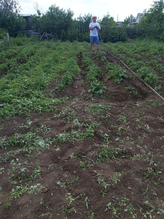 Дача, общество "Союз"