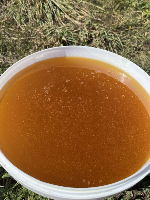 Мёд 2025года !!! С доставкой.