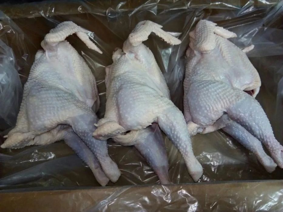 Мясо тушка несушки
