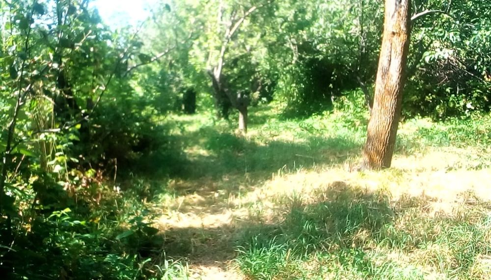 Продам дом в с. Коныр