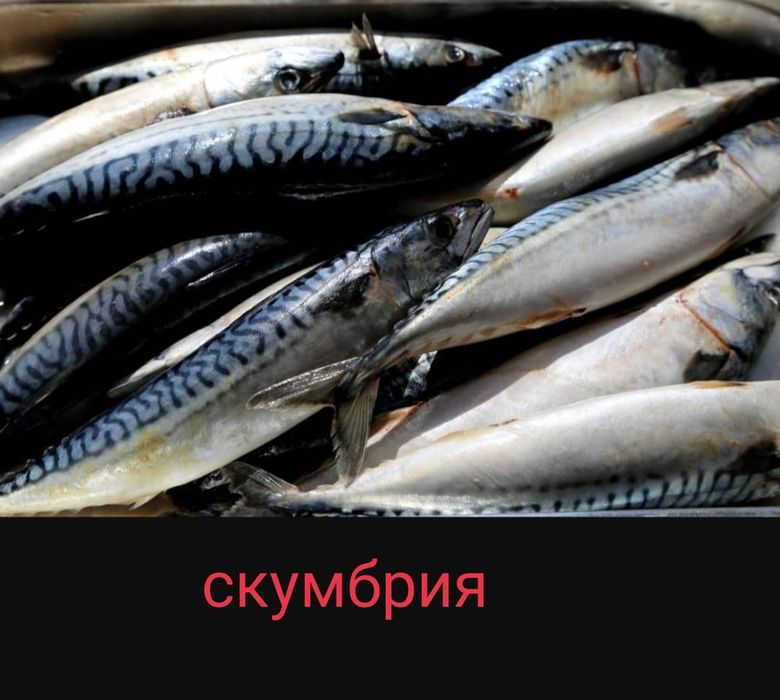 Продажа свежей речной рыбы и морепродуктов