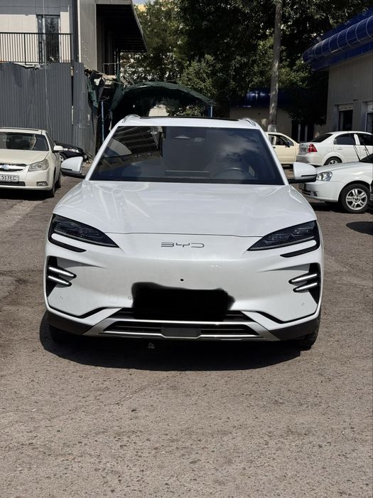 Byd champion 605