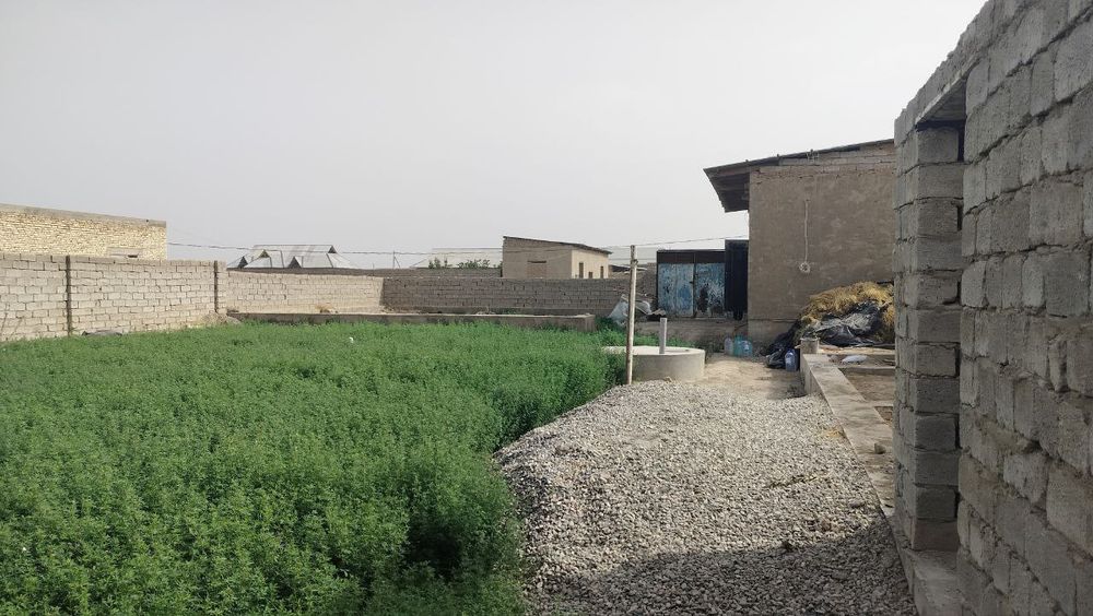 beklardan uchastka sotiladi 220ml