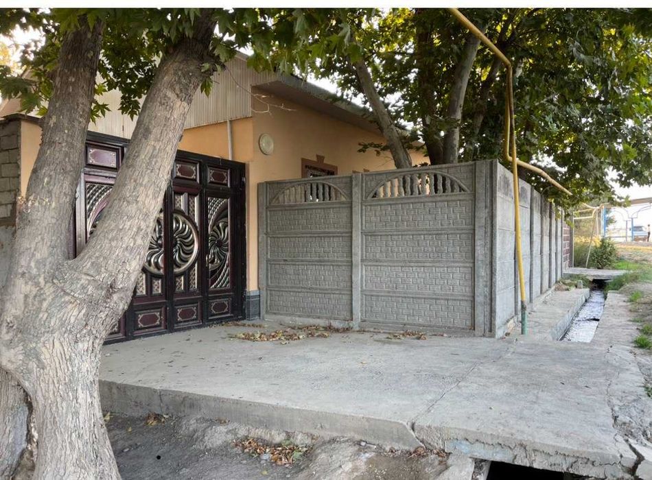 Уй Янгийул туманида