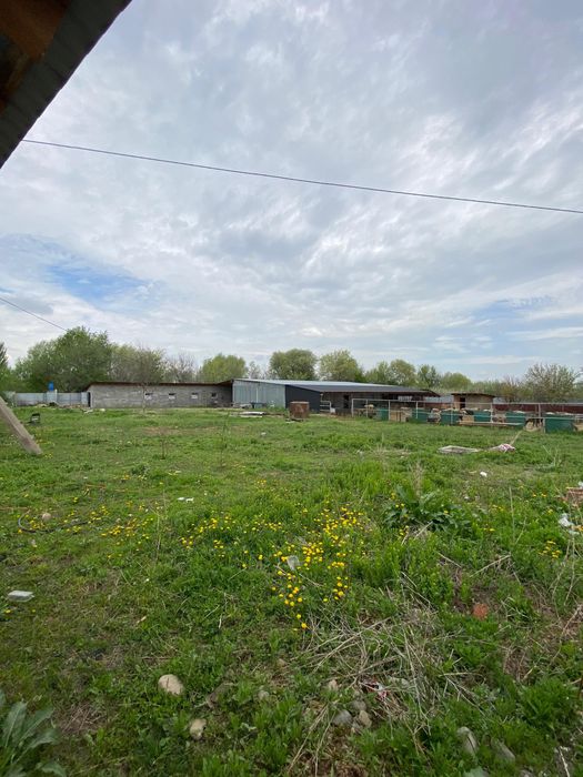 Продается фазенда