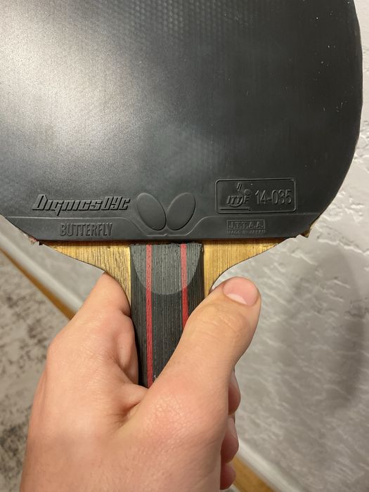 Paleta tenis de masa Butterfly