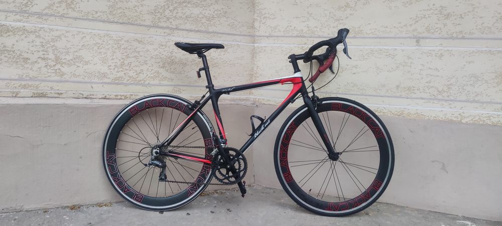 Black Cat качетвенный, легкий и единственный в Узбекистане