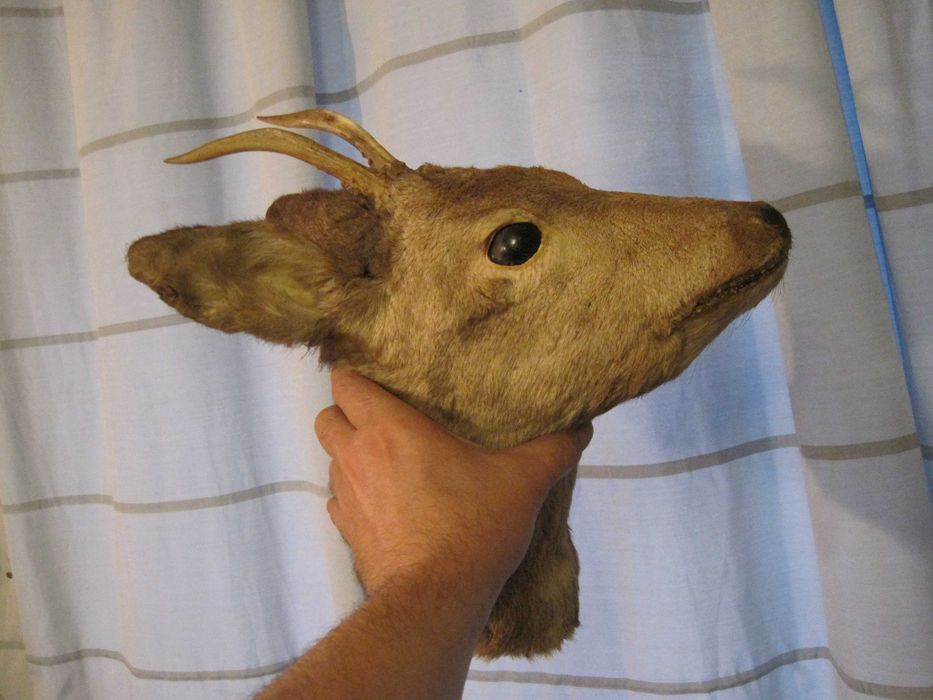 Ловен Трофей Сръндак!