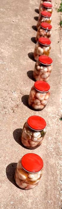 Български зимен чесън собствено производство! Без химикали и пестециди