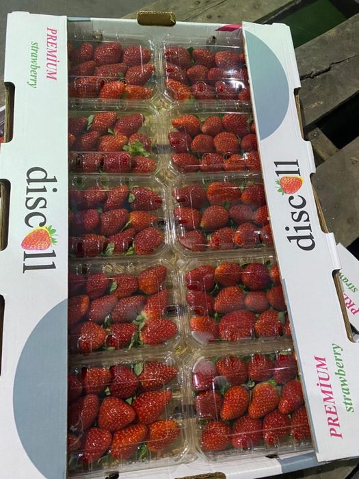 Клубника Египетская